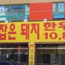 대풍렌탈 이미지
