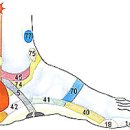 발바닥 통증(족저근막염),발뒤꿈치 각질 관리법 이미지