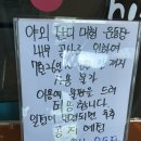 멍테일즈 | 의정부 애견카페 테일즈업 강아지수영장 야외운동장 내돈내산