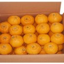 구정농장 이미지