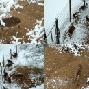 서울숲3 이미지