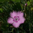 칠보중학교 이미지