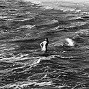 칠곡 해은고택 이미지