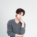 보이드