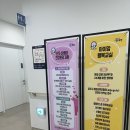 와이즈로 행정사무소 | 임신 사실 확인 후 해야할 일, 파주시 임산부 지원혜택(교통이동지원, 맘편한 코레일 등)