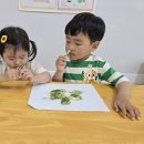 쥐똥나무향 맡고 관찰하기 이미지