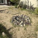 옥 산 원 | 독채가 무려 두 채? | 경주 구길가옥 촌캉스 후기 | 애견동반 단체 숙소 추천