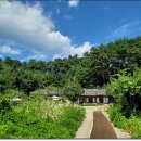 주로요기 이미지