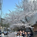 계명대태양태권도 이미지