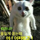 소야 장편소설(난장 정벌기. 1) 품바 입문 이미지