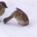 진주크로스핏 가온 이미지