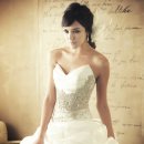 하야로비 이미지