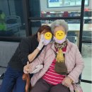 건강브이아이피