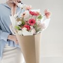 노스노비 네이버블로그