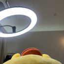 김채윤헤어 | [구미 문성 뷰티샵] 문성 왁싱 잘하는 곳 블랑유니 브라질리언 왁싱 후기