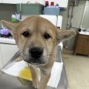 남양주 진건119안전센터 이미지