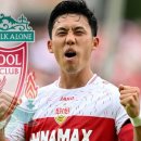 엔도 메디컬 이미지