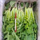 (주)열무 이미지