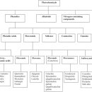 보양제약 이미지