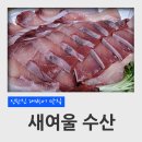 덕암동 까루푸(홈프러스)앞 | 대전 신탄진 대방어 맛집 새여울 수산 대방어 포장 후기