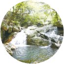 장척힐링 농촌체험마을 이미지