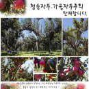 정정농장 이미지