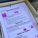 소래습지생태공원 | [인천 가볼만한 곳] 인천 여행/데이트코스 ‘소래습지생태공원’ (✅주차/ 자전거 대여/ 돗자리/ 체험거리)