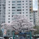 전민동 주민센터 버스정류장 이미지