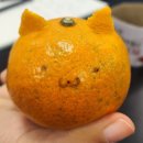 귤냥