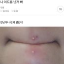 케찹피어싱