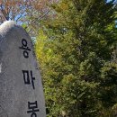 용마산포차