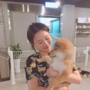 with dog(위드독) 이미지