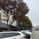 초밥산성 - 성남시 수정구 수정로 291 | [스시안 / 남한산성역 맛집] 양지동 초밥 특초밥 후기