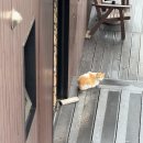 일출하우스 | 동해 여행 오션뷰 숙소 동해힐하우스펜션, 일출까지 완벽했던 솔직 후기