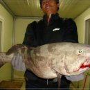 어심바다낚시터 이미지