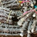 동성상회 이미지