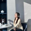 지그재그 오프숄더 니트 원피스 코디 생일 파티룩 후기