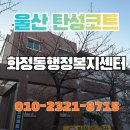 화정동행정복지센터 화장실 | 울산탄성코트 화정동행정복지센터 곰팡이 오염 보수로 완벽하게 시공했어요