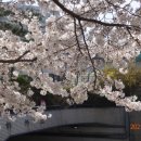 우리동내 이미지