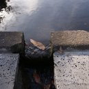 유수암마을 이미지