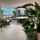 포레스트병원 이미지