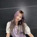 나인퍼플