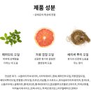 러쉬현대송도점