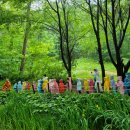 산림노인복지센터 이미지