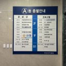 마산체형교정 바른자세운동연구소 재활운동 거북목 자세 후기