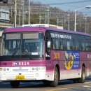 대원고속 이미지