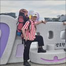 감포참가자미 Daum카페