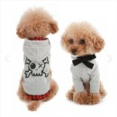 퍼피엔젤 이미지