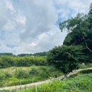 (주)다락방친구들 | 창원공간대여 동읍 올라감 촌캉스 파티룸 4살 아이 친구들과 공동육아
