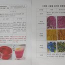 빨강놀이터